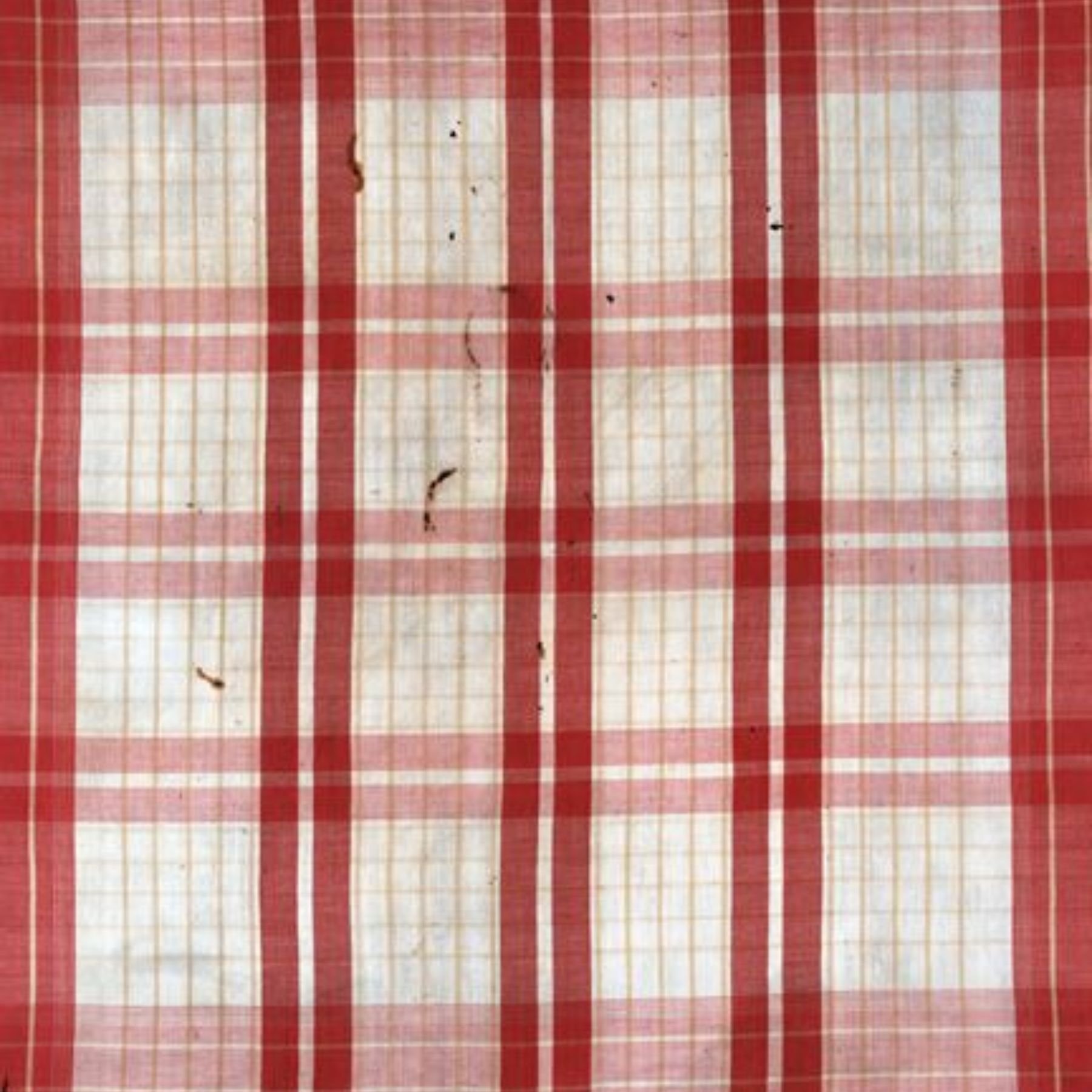 Madras handkerchief reportedly brought from Santo Domingo to Louisiana in 1850 'for use of slaves' Unknown weaver South India, early 19th century Louisiana State Museum, 07068.1